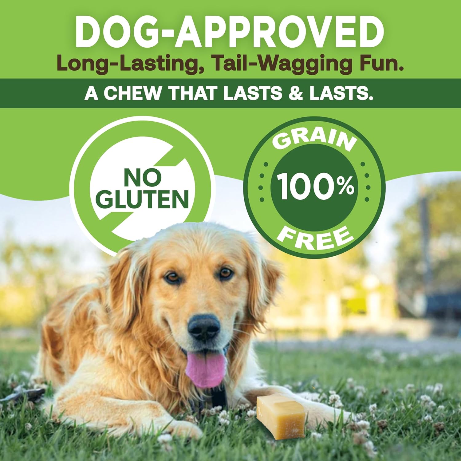 EcoKind Premium Gold Yak Cheese Himalayan Dog Chews