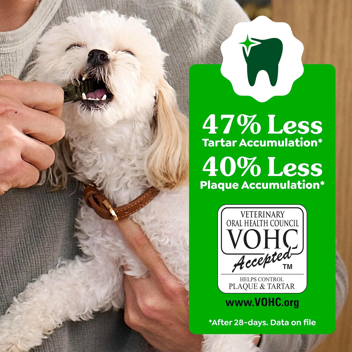 Greenies Veterinarian-Recommended Adult Natural Dental Dog Treats Regular Size