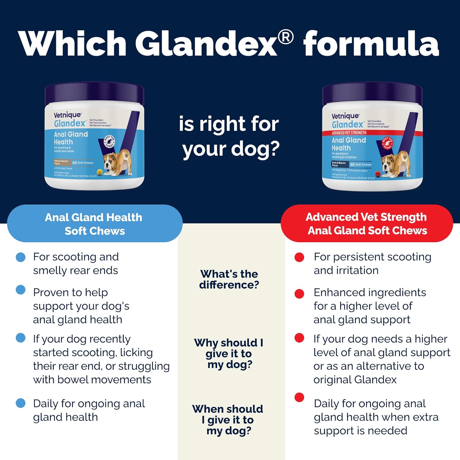 Vetnique Glandex Anal Gland Soft Chew Treats with Pumpkin