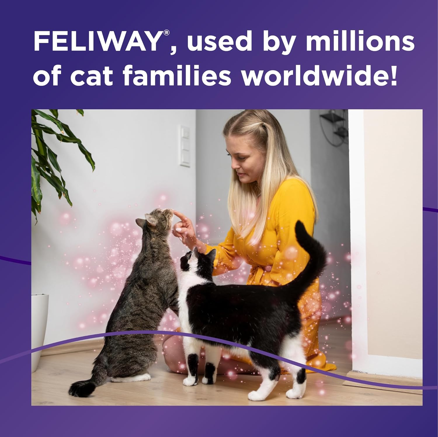 FELIWAY Multicat Calming Pheromone Diffuser Kit