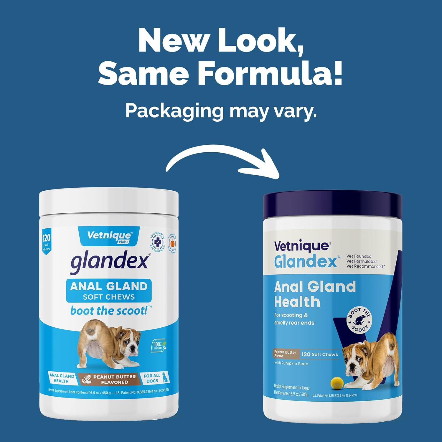 Vetnique Glandex Anal Gland Soft Chew Treats with Pumpkin