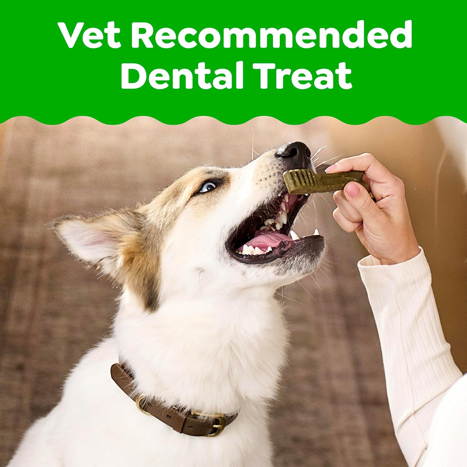 Greenies Veterinarian-Recommended Adult Natural Dental Dog Treats Regular Size