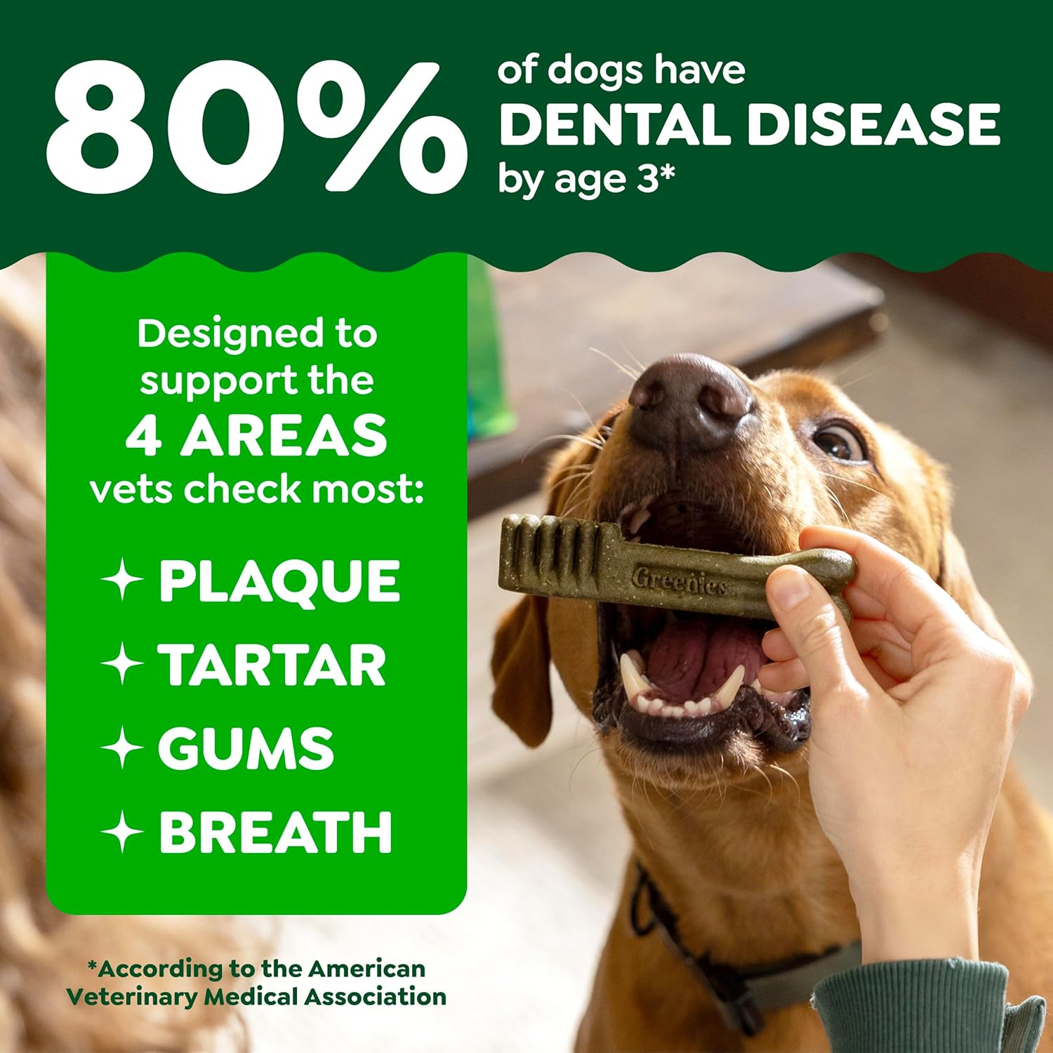 Greenies Veterinarian-Recommended Adult Natural Dental Dog Treats Regular Size