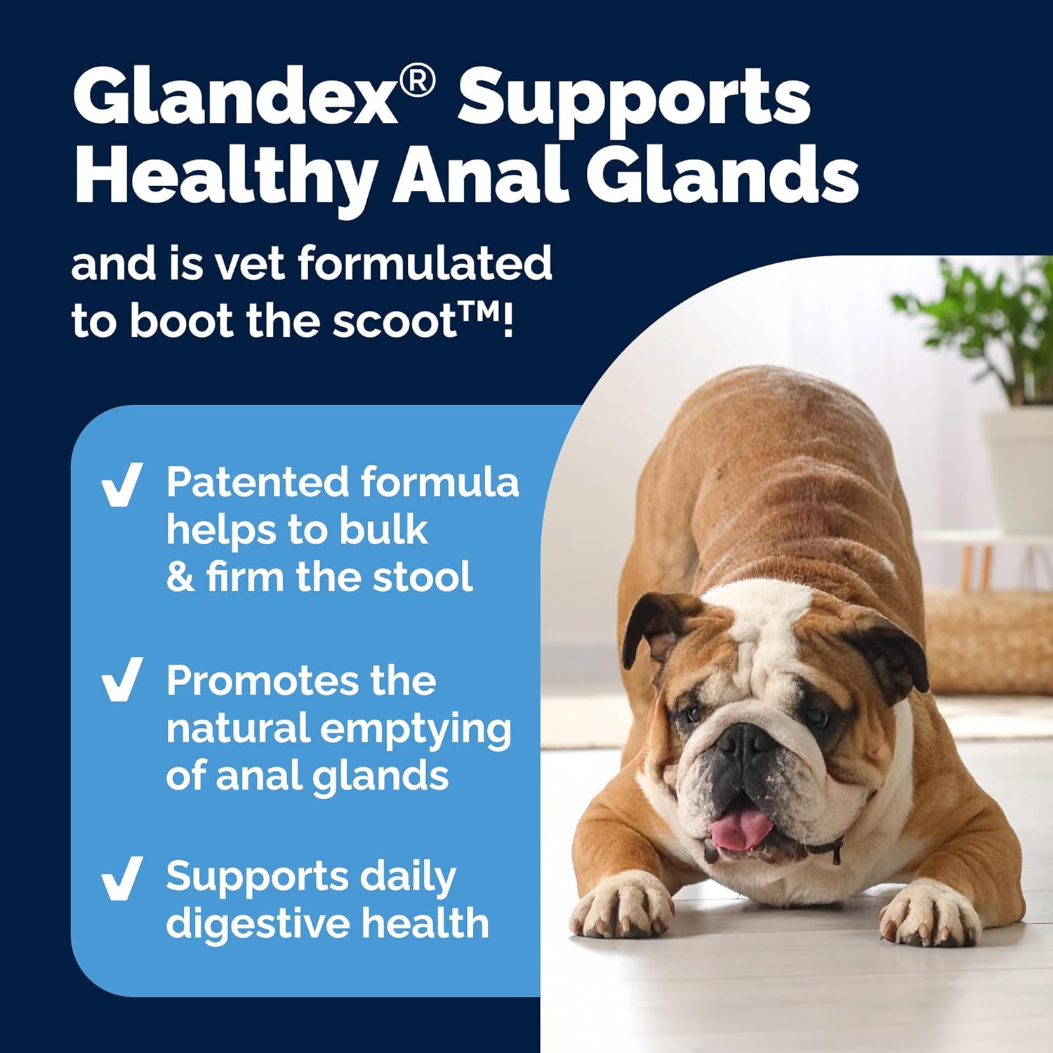 Vetnique Glandex Anal Gland Soft Chew Treats with Pumpkin