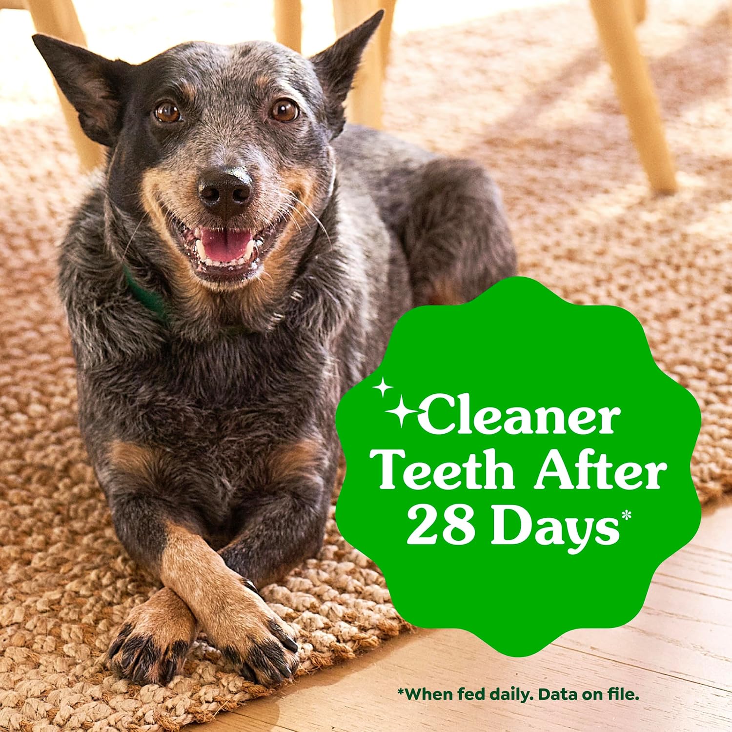 Greenies Veterinarian-Recommended Adult Natural Dental Dog Treats Regular Size