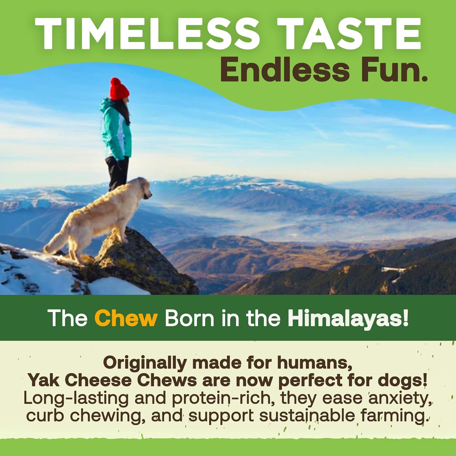 EcoKind Premium Gold Yak Cheese Himalayan Dog Chews