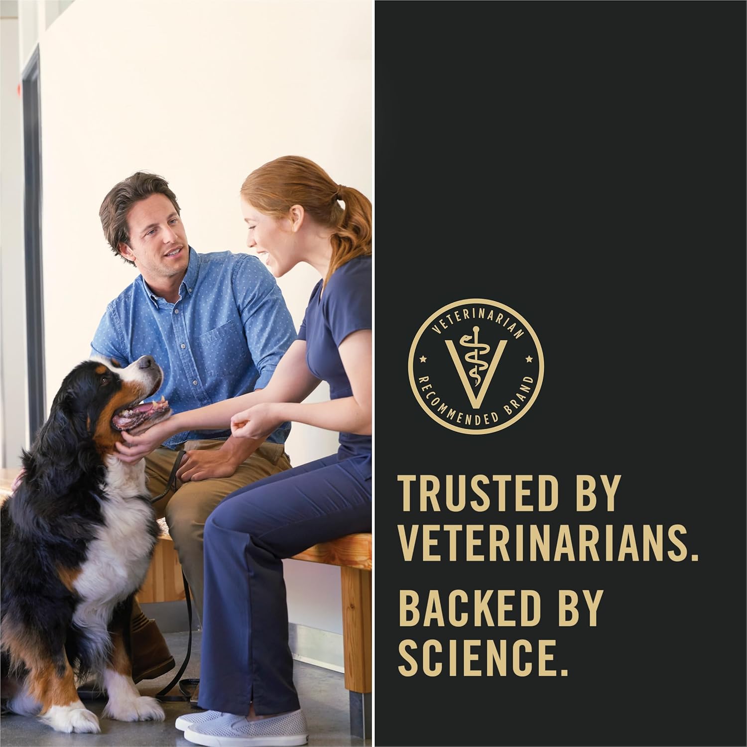Purina Pro Plan Sensitive Skin and Stomach Dog Food Dry